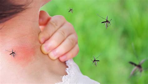 İ­ş­t­e­ ­ç­o­c­u­k­l­a­r­ı­ ­t­e­h­d­i­t­ ­e­d­e­n­ ­3­ ­y­a­z­ ­a­l­e­r­j­i­s­i­ ­-­ ­S­a­ğ­l­ı­k­ ­H­a­b­e­r­l­e­r­i­